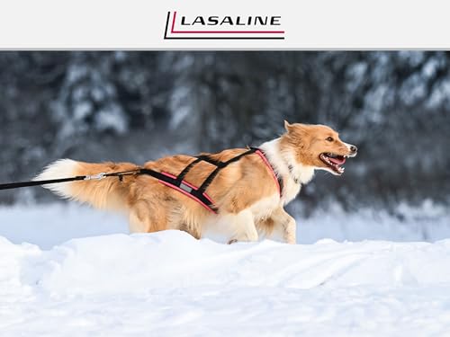 LASALINE Hunde Zuggeschirr X Back für Canicross Hundesport Dogscooter Bikejöring Schlitten in Schwarz Neongelb