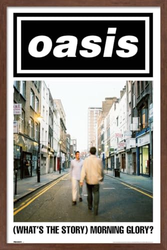 Trends International Oasis - What's The Story, Morning Glory Wall Poster, 22.4L x 14.7W, Mahogany Framed Version