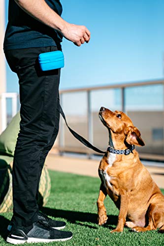 Dexas Bolsa Flexível para Petisco/Adestramento de Cães, Azul