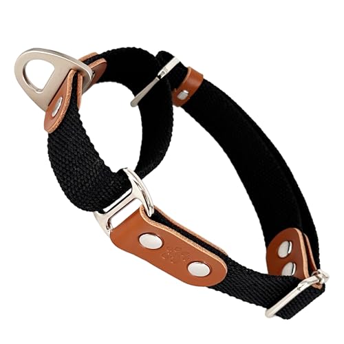 Martingalhalsband Hundewürgehalsband, Anti-Zug, Poly-Baumwolle und Leder. S. Schwarz & Cognac