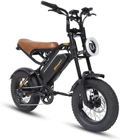 Bodywel M16 Fat Tire Electric Bike For Adult, 48V 13.5AH Removabl...