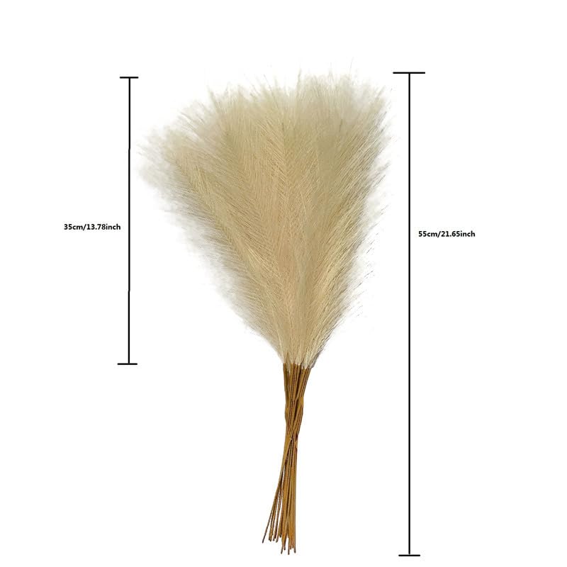 Pampas Grass Large 55CM 10PCS Fluffy Pampas Grass Boho Decor Flower miniatura 7