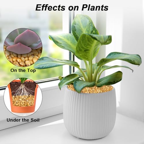 Image of Fish Tank Rocks,Virekm River Rocks, Decorative Ornamental Pebbles Garden Landscaping Stones Gravel Filler for Home Decoration Flower Bed Fish Tank Plants Vases Succulents