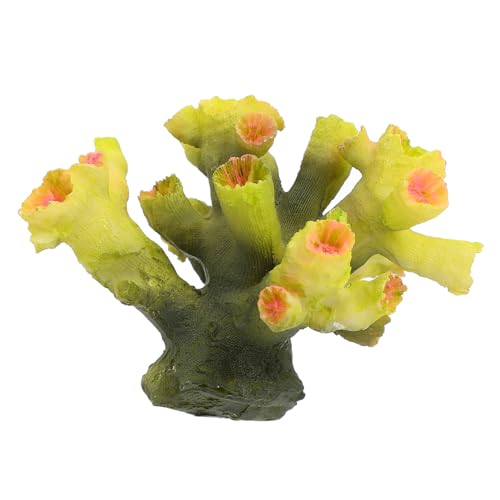 healvian ?^^X萅 ̎oNtg iύ CeA  pI[ig