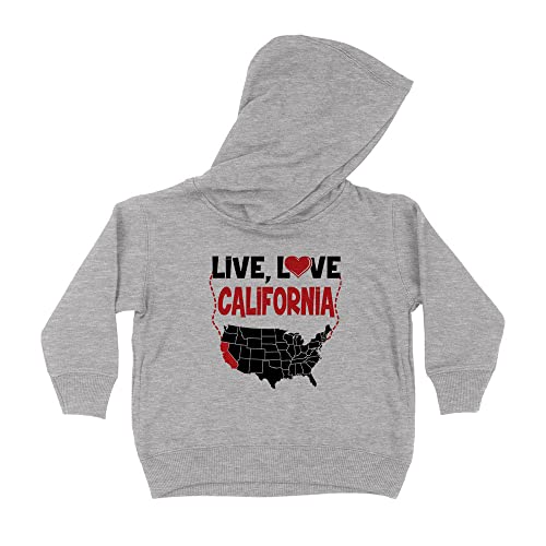 Live Love California Kids Hoodie Sweatshirt Toddler 2T Heather Grey