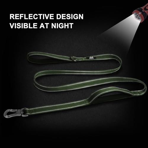 TwoEar 6FT 1IN Strong Green Dog Leash with 2 Padded Handles, Traffic Handle Extra Control, Comfortable Soft Dual Handle, Auto Lock Hook, Reflective Walking Lead for Small Medium and Large Dogs - Image 6