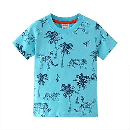 Image of Little Boys Shorts Set Toddler Boys 100% Cotton Summer Short Sleeve T-Shirts and Shorts Clothing Sets 2PCS
