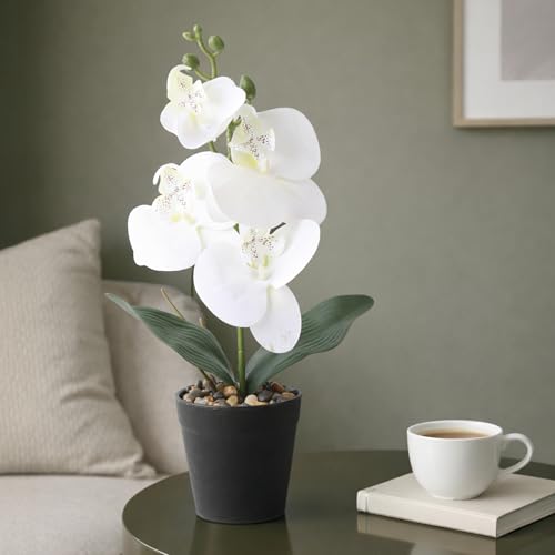 Image of Habere India-All the Cultures Fabricating India White Orchid Artificial Plants with Pot for Home Decor | Small Fake Flower Plants for Living Room & Indoor Decoration (Design02: L8.5 x W8.5 x H32 cm)