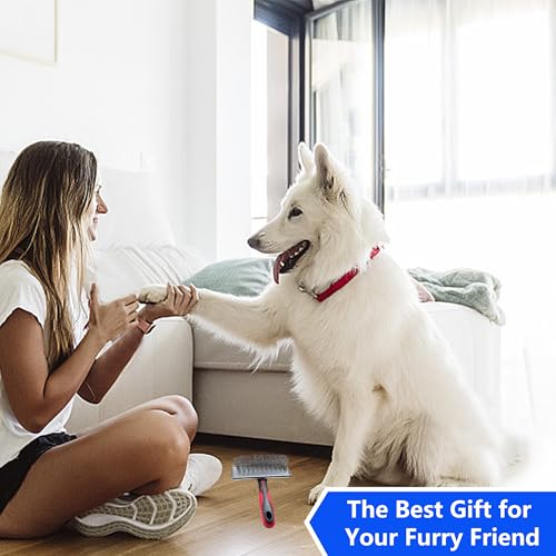 EAFBAO Slicker Brush for Dogs, Deshedding Dog Brush - Removes Loose Fur and Tangles, 1"" Extra Long Pins Go Deep Into The Undercoat, Professional Grade Dog Brush for Shedding, Large, Red