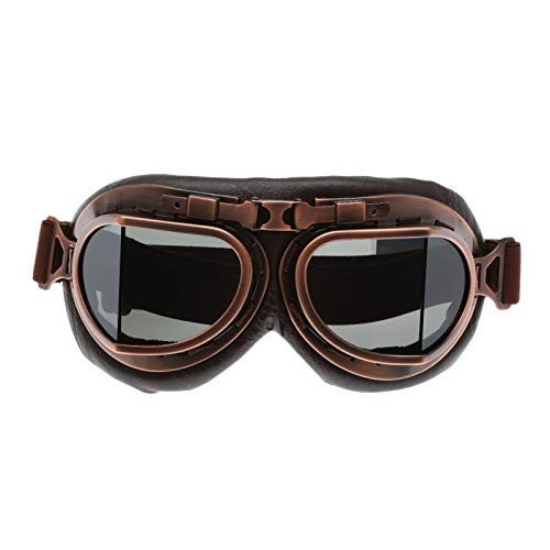 DRELD Gafas de Motocicleta para Adultos, Gafas de Sol Vintage