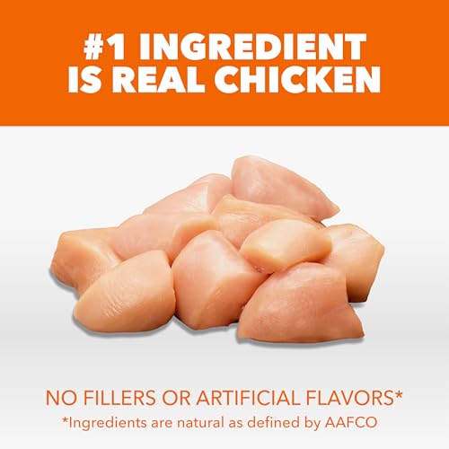 IAMS Proactive Health Healthy Adult Dry Cat Food, Chicken, 16 lb | Veterinarian-recommended, Real chicken #1 ingredient, chicken & egg protein, wholesome grains for energy, supports muscles - Image 3