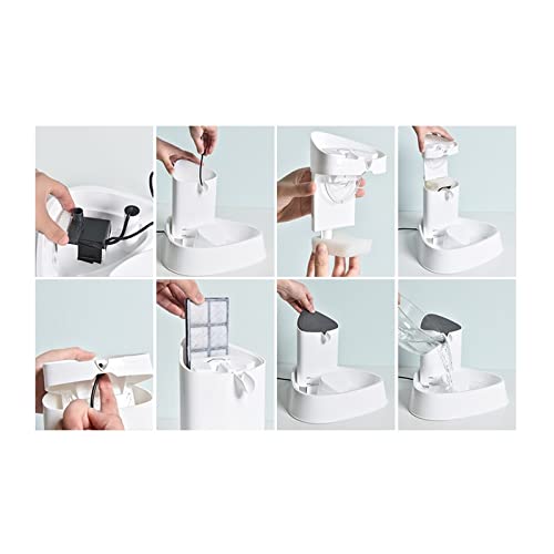 Fuente automática para agua de mascota 3L con filtro miniatura 6