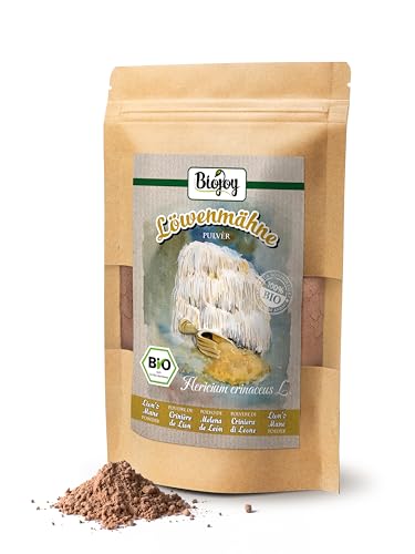 Poudre de champignon champignon Lion's Mane séché Hydne Hérisson - 2