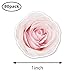 Pink Rose Flower Stickers 1in for Scrapbooking, Arts, Craft, Kids DIY, Calendars Journals 80-Pack