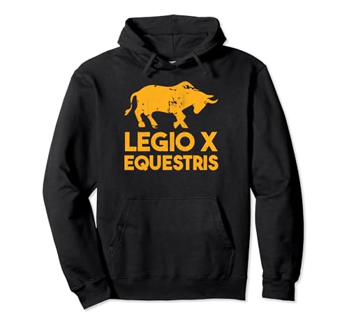 Legio X Equestris History of Ancient Rome Sweat à Capuche