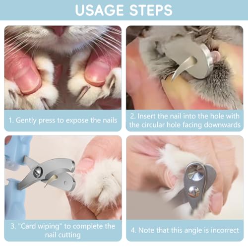Image of Qpets Cat Nail Cutter, Cute Cat Clipper Bear Design, Stainless Steel Pet Nail Trimmer with 2-Size Holes & Nails File, Safe Design Prevents Over-Cutting for Cats, Kittens & Small Pets at Home