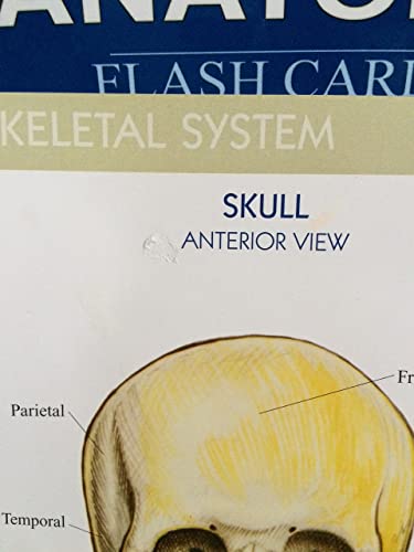 Anatomy: a QuickStudy reference tool
