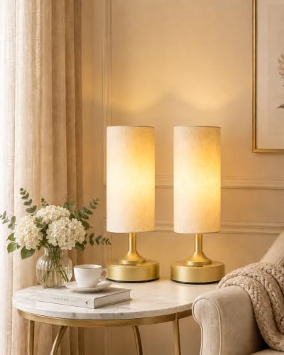 Cordless Lamp, 2-Pack, Dimmable, Ambient...
