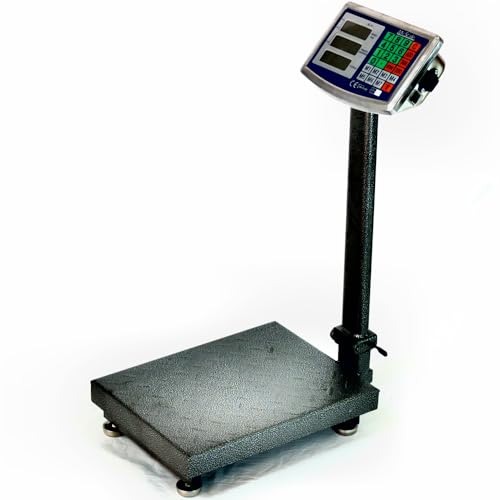 Pesata MIN 100g BILANCIA ELETTRONICA CON DISPLAY DIGITALE PROFESSIONALE RICARICABILE BILICO BASCULA MAX 500 KG