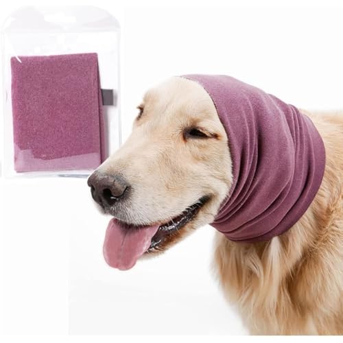 uFLYKINGv  Xk[h p Lp  o_i~GɑΉ g gAāA_炩 XJ[t lbNXJ[t  킢  Jo[si2pbNj (sN,S)