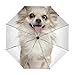 Produktbild alaza Netter Chihuahua-Hund Regenschirm Reise Auto Öffnen Schließen UV-Schutz Windsicher
