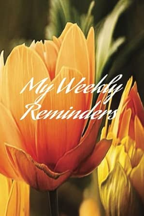 My Weekly Reminders: Planner: Nash'e, Courtney: Amazon.com: Books