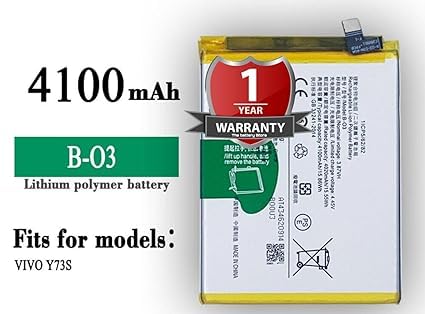 Image of THE BATTERY STORE Orignal B-O3 Battery for VIVO Y73S Battery with 1 Year Warranty**** (PPP227)
