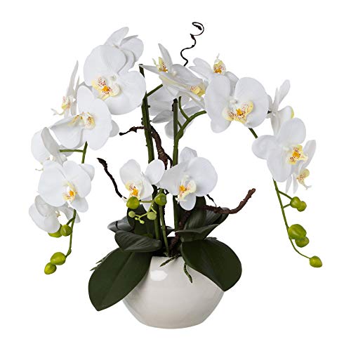 Madison Lifestyle Orchidee im Keramik-Topf | 55 cm hoch | Kunstpflanzenarrangement | Deko Highlight für zu Hause, Camping oder als Geschenk | Phalaenopsis real Touch Weiß