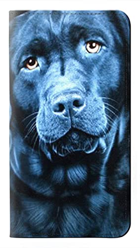 Housse cuir iPhone 15 Plus Labrador Retriever étui portefeuille clapet protection intégrale