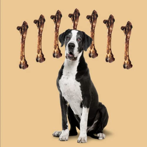 ROAM Pet Treats Large Kangaroo Dog Bone – Outback Kangaroo Femur Bone Dog Chew, Single Ingredient, All Natural, Grain-Free, & Gluten-Free - Thumbnail 7