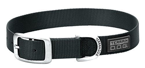 Terrain D.O.G. Nylon Single-Ply Dog Collar