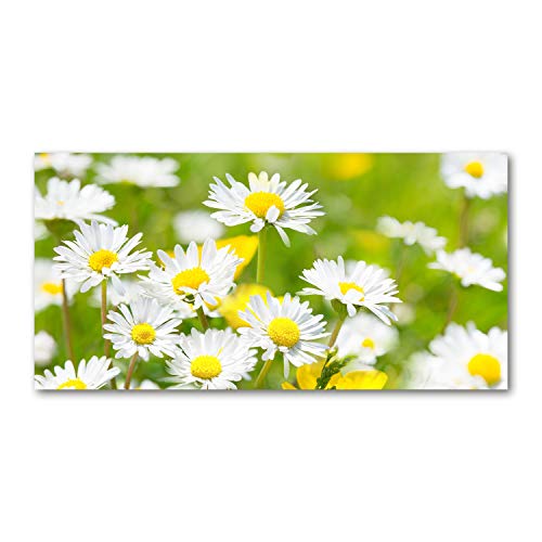 Crédence de cuisine 100x50cm facile à nettoyer pour protéger vos murs des graisses