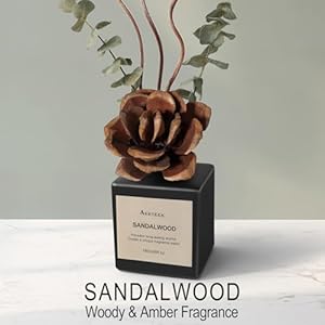 Reed diffuser set sandalwood cedarwood scented oil with dried flowers 609 fl oz180ml long lasting air freshener with diffuser sticks home fragrance for bathroom decor  urban country home decor