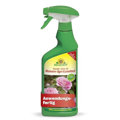 Neudorff Neudo-Vital AF Rosen-Spritzmittel – Anwendungsfertiges Spray fördert die optimale Ernährung von Rosen und beugt Pilzkrankheiten vor, 500 ml