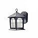 Home Decorators Collection Aged Iron Outdoor LED Wall Lantern