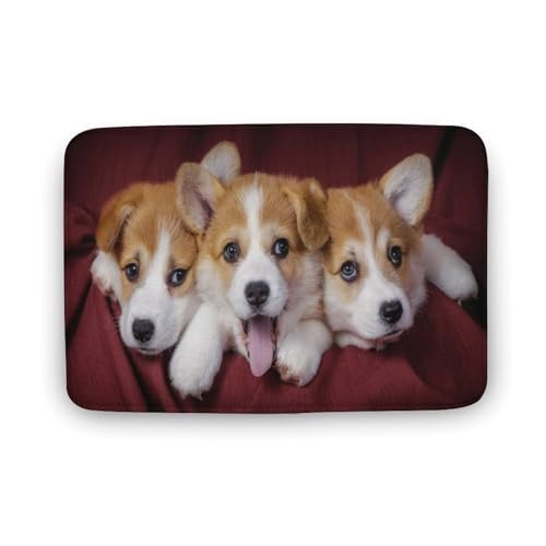 Č  L  oX}bg \tg􂦂 z  փ}bg  O   傫 ~ Aj LN^[ @}bg   ʏ