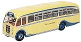yorkshire toy mini Presenta una verniciatura molto dettagliata.