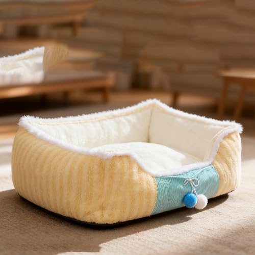 [JUI3N] ybg NbV ~ ӂӂ _炩  ^ Lp ybg\t@[ ې  L xbh ~ ^ ybg}bg ʔN ybgpi  Lpxbh ybgxbh Lp g CG[ 60*50*20cm 