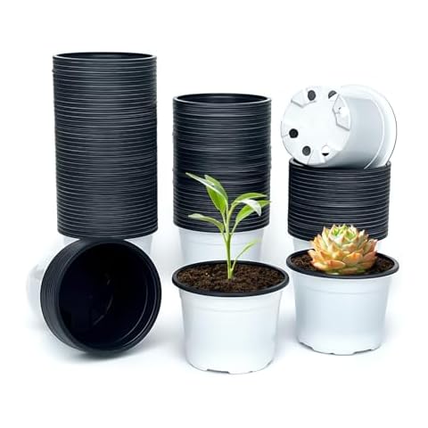 RooTrimmer 100 Pack Nursery Pots Cover