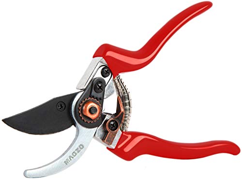 Bypass Pruning Shears, 8.5