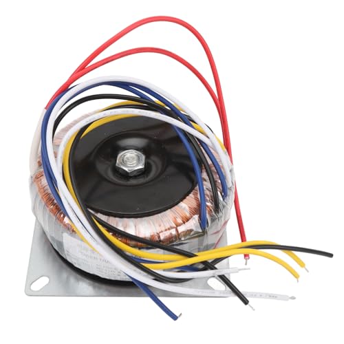 Transformador Toroidal de Potencia, Alta Eficiencia, Voltaje Estable, CA 220 V con Material de Cobre para Altavoces, Amplificadores, Subwoofers, Fuente de Alimentación Limpia y
