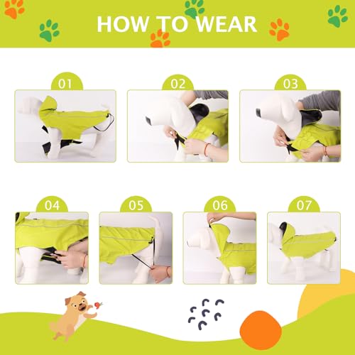 Vejaoo Regenmantel Hund Wasserdicht, Reflektierend Regenjacke mit Kapuze für Hund, Verstellbare Winddicht Regenjacken für Kleine Mittelgroße Groß Hunde Spaziergäng XZ015(Grün,S)