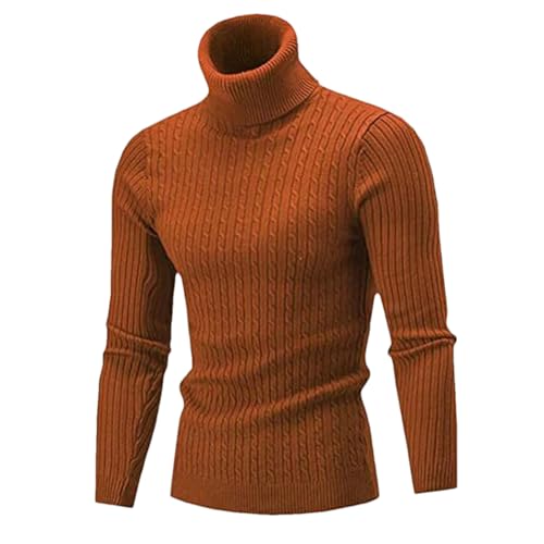 Men's Turtleneck Sweater Knitting Pullovers Rollneck Sweater Warm Slim Fit Casual Sweater
