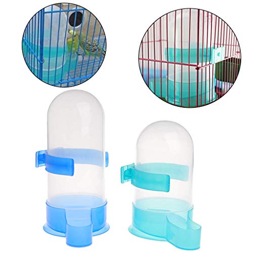 Ogquaton Bird Automatic Feeder, Drink Water Food Container Feeding Dispenser for Parrot Pigeon Durable and Practical - Image 4