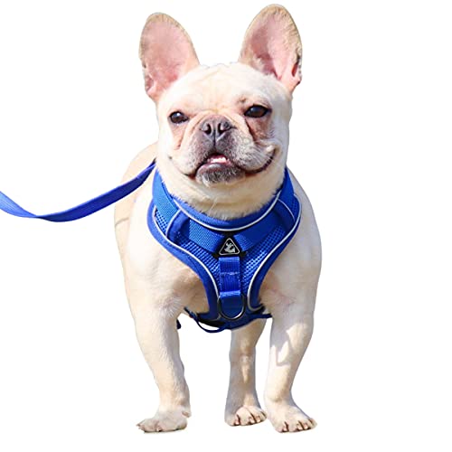 Dog Harness and Leash Set - Mesh Dog Vest Harness Breathable - Reflective Puppy Harness No Pull No Choke for Small…