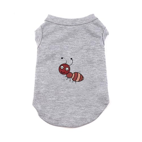 [XZVGJ] ybg t  Eѕی [EFA  ₷ ĕ  U 3XL o| L LbgEFA ^ ^ ʋC lGʗp ȒPE [΍ UoEFA O[  Ȑ