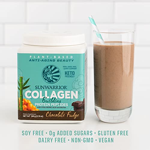 Sunwarrior Vegan Collagen Building Powder Protein Peptide with Biotin Vitamin C Hyaluronic Acid for Hair Skin Nail Dairy Free Gluten Free | Chocolate - Thumbnail 5