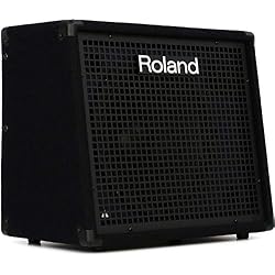 Amazon.com: Roland KC-200 4 Channel Mixing Keyboard Amplifier, 100