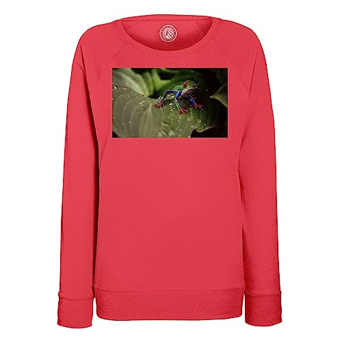 Sweatshirt femme grenouille exotique multicolore imprimé photo
