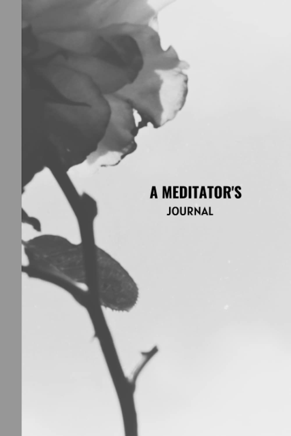 A Meditator's Journal